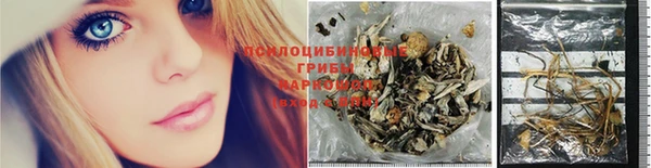 стафф Армянск