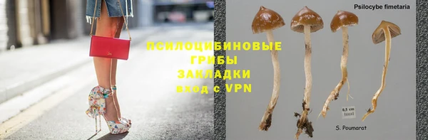стафф Армянск