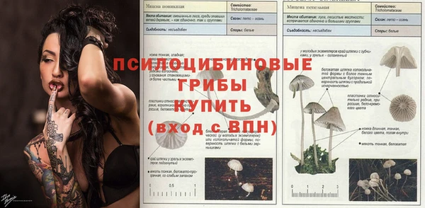 стафф Армянск