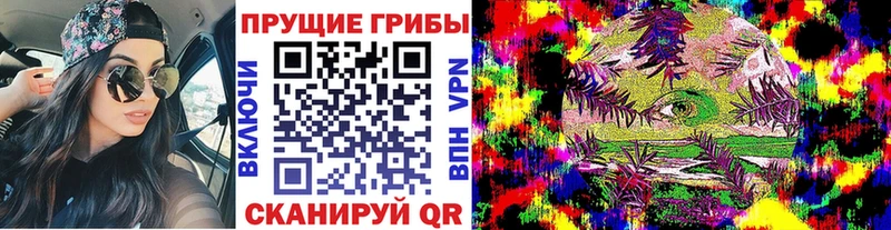 blacksprut онион  Фрязино  Псилоцибиновые грибы прущие грибы 