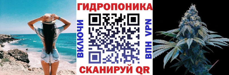 OMG как зайти  Фрязино  Марихуана OG Kush 